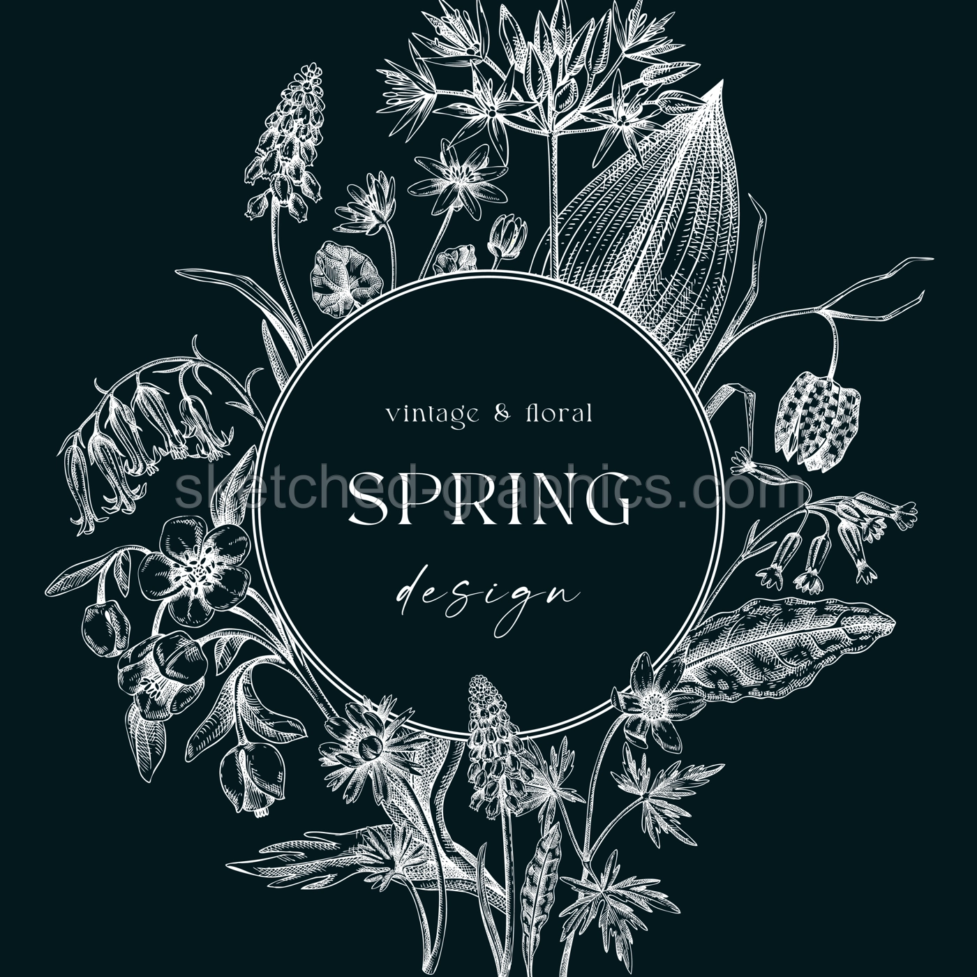 Elegant spring poster design. Wildflowers print in color. Woodland wild flower sketches. Floral background. Botanical card, invitation template . Hand drawn vector illustration, NOT AI Illustration